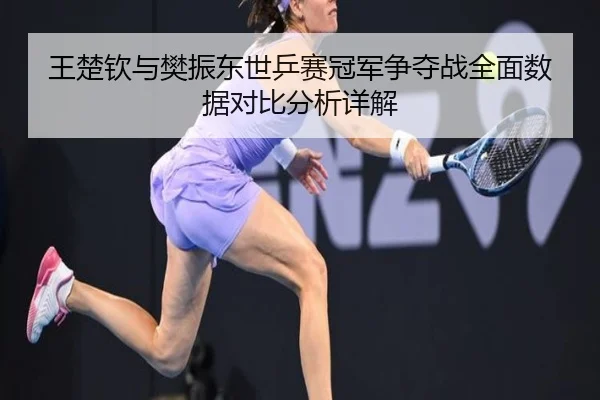王楚钦与樊振东世乒赛冠军争夺战全面数据对比分析详解 - WANMEI